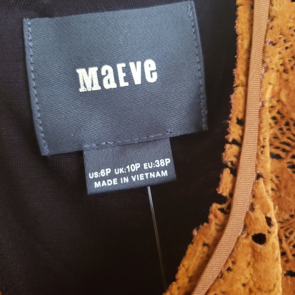 Velvet Lace Amis Maeve Anthropologie Dress - Picture 3 of 4